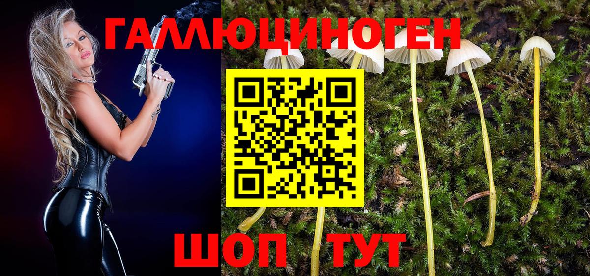 Будённовск  купить наркотики сайты  Вход с VPN  Галлюциногенные грибы Psilocybe  Галлюциногенные грибы MAGIC MUSHROOMS 