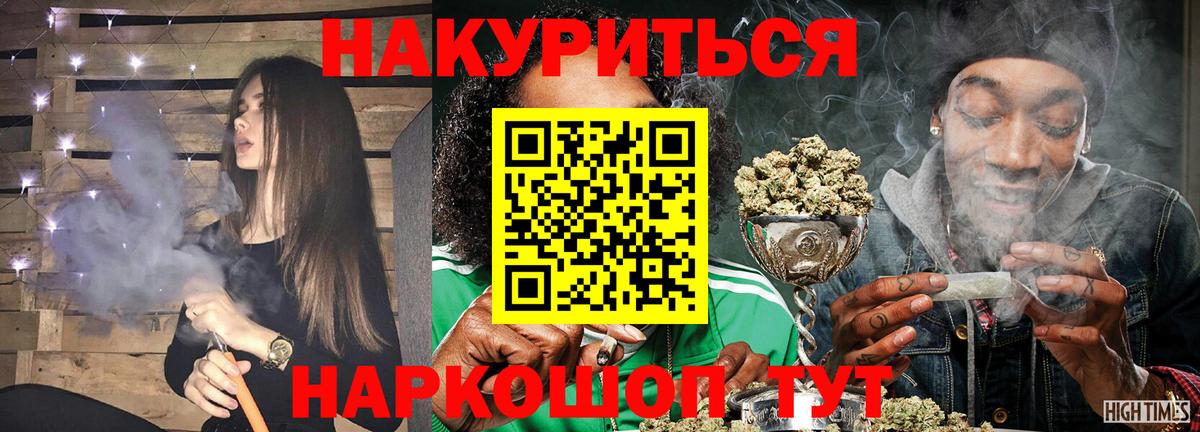 Бошки Шишки планчик Будённовск